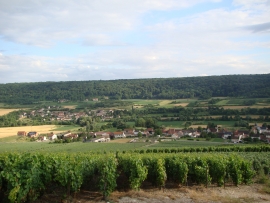 Champagne James VRAYET - Vue du village du haut des vignes